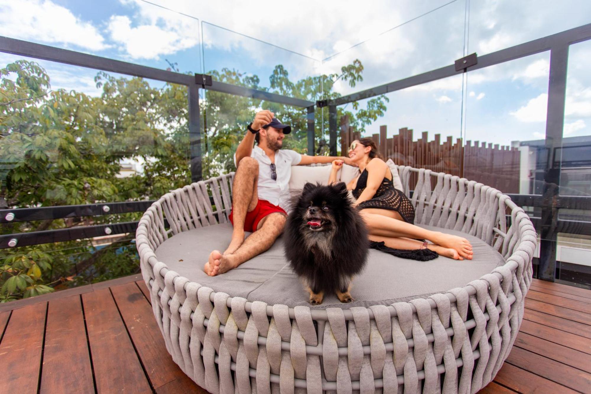 Serenity Hotel Boutique By Alsol Playa del Carmen Eksteriør bilde